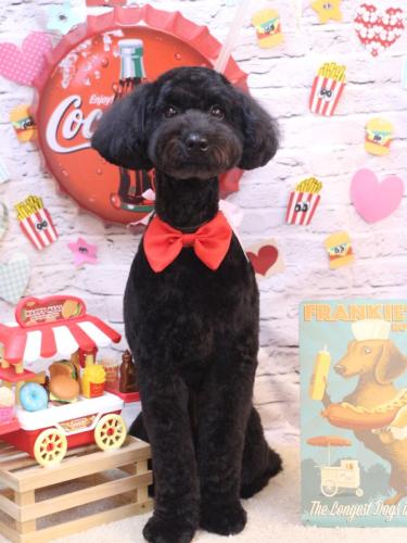 20230919アロちゃん